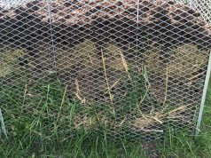 Wie befüllt man den Kompost richtig?