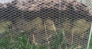 Wie befüllt man den Kompost richtig?