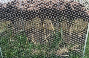 Wie befüllt man den Kompost richtig?