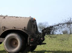 Wann setzt man welchen Dünger ein?