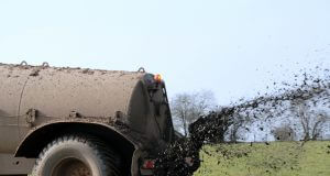 Wann setzt man welchen Dünger ein?