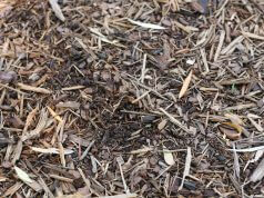 Warum wir mulchen sollten