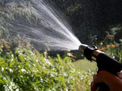 Gießen – aber richtig