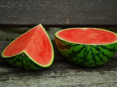 Die Geschichte der Wassermelone Wassermelone
