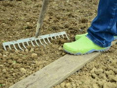 Wie wir zu einem Kleingarten gekommen sind ? Kleingarten