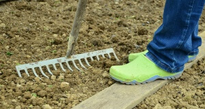 Wie wir zu einem Kleingarten gekommen sind ? Kleingarten