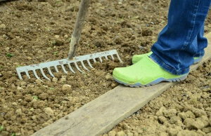 Wie wir zu einem Kleingarten gekommen sind ? Kleingarten