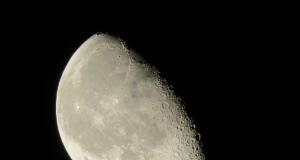 Was bedeutet Gärtnern nach dem Mondkalender? Mondkalender