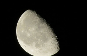 Was bedeutet Gärtnern nach dem Mondkalender? Mondkalender