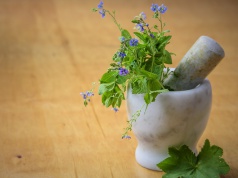 Kräuter gegen „Plagegeister“ im Haus