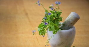 Kräuter gegen „Plagegeister“ im Haus