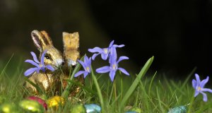 Ostereiersuche im Garten – Ostern kommt! Ostern