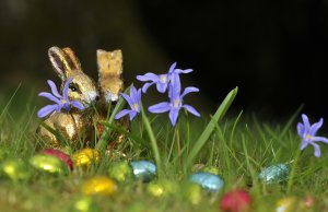 Ostereiersuche im Garten – Ostern kommt! Ostern