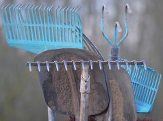 Grundaustattung für Kleingärtner