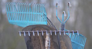 Grundaustattung für Kleingärtner