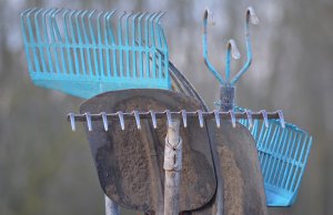 Grundaustattung für Kleingärtner