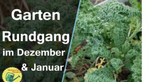 Gartenrundgang Dezember’20 / Januar’21