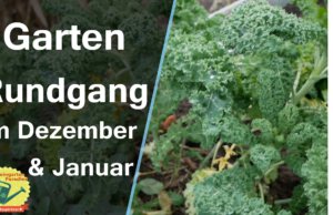 Gartenrundgang Dezember’20 / Januar’21