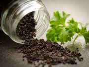 Saatgut – Kauf, Lagerung und Haltbarkeit Saat