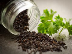 Saatgut – Kauf, Lagerung und Haltbarkeit Saat