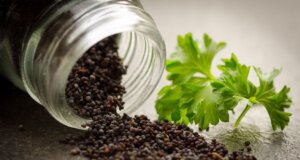 Saatgut – Kauf, Lagerung und Haltbarkeit Saat