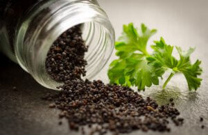 Saatgut – Kauf, Lagerung und Haltbarkeit Saat