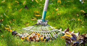 Rasenpflege im Frühling: Düngen, Mähen, Teilaussaat und Pflege Rasenpflege Kleingarten-Paradies.de