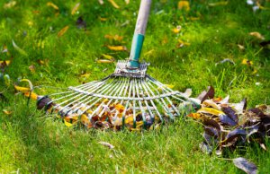 Rasenpflege im Frühling: Düngen, Mähen, Teilaussaat und Pflege Rasenpflege Kleingarten-Paradies.de