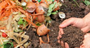 Natürlich Düngen Teil 1: Die eigene Küche