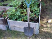 Der August: Gartenarbeiten und Pflege