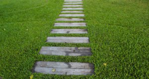 Tipp: Trittsteine für Rasen und Beete