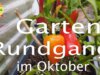 Gartenrundgang im Oktober 2021