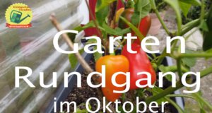 Gartenrundgang im Oktober 2021